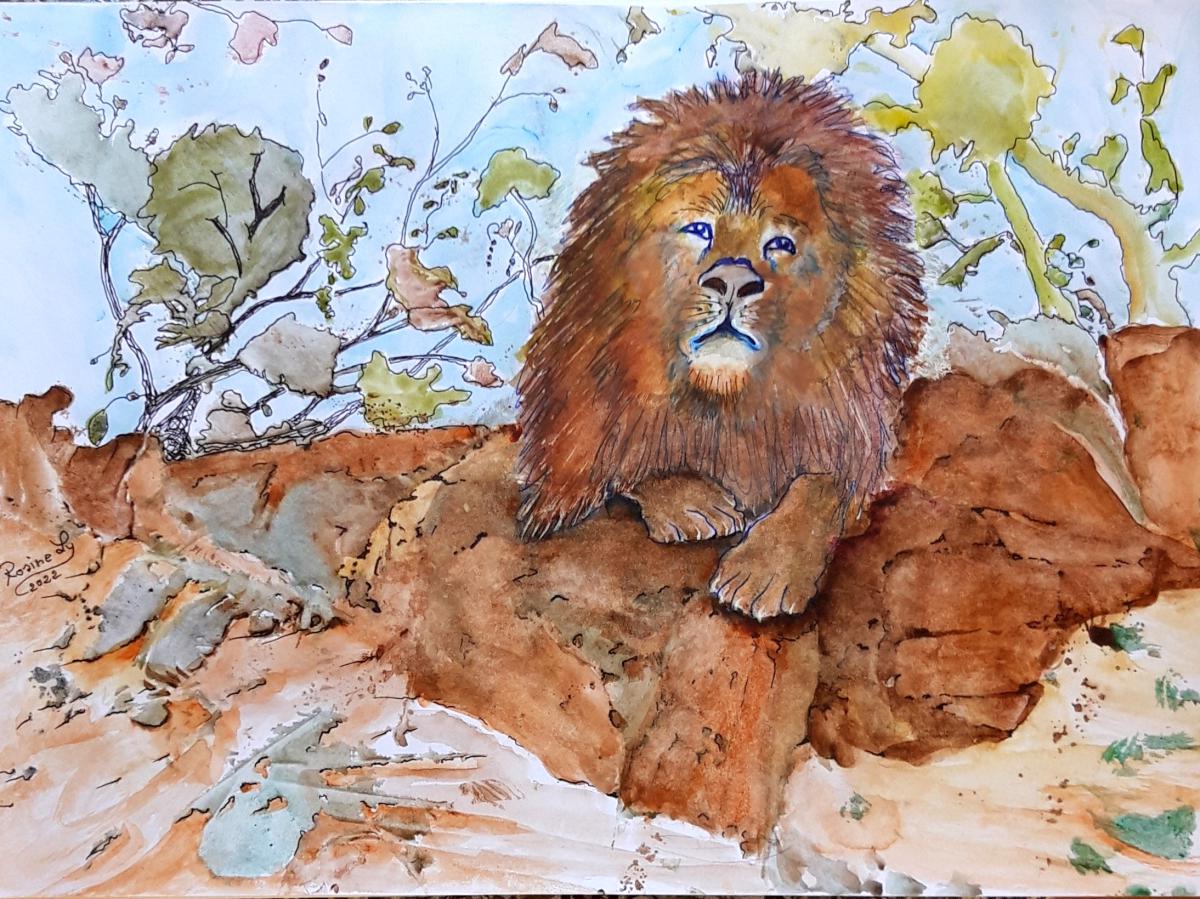 3-le-lion-roi-des-animaux-Ramata-